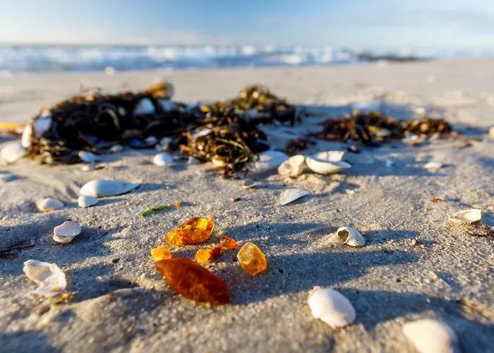 Inselzeit Comfort * Sellin